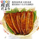 遅れてごめんね父の日　送料無料　鹿児島県志布志　山田水産　霧島湧水うなぎ　長蒲焼き　大サイズ5尾セット（140g以上×5尾）　鰻師　加藤尚武さん 山田の粋　夏ギフト2019　お中元ギフト