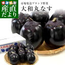 奈良県産　JAならけん　大和丸なす　約2キロ　秀品9から11玉　送料無料　まるなす　茄子　ナス　市場 ...