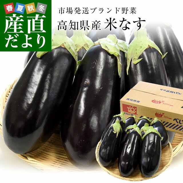 高知県産　JAグループ高知　米なす　A級品9玉　約2.5キロ　送料無料　べいなす　茄子　ナス　市場発送