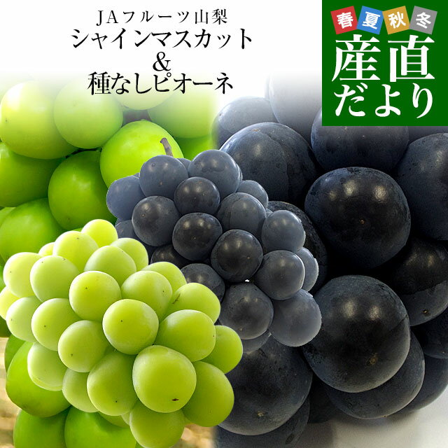 山梨県より産地直送 JAフルーツ山梨 シャインマスカット＆種なしピオーネ 2種セット 秀品 大房2房入 化粧箱 (約550g×2房）送料無料 葡萄 ぶどう お中元 夏ギフトのサムネイル