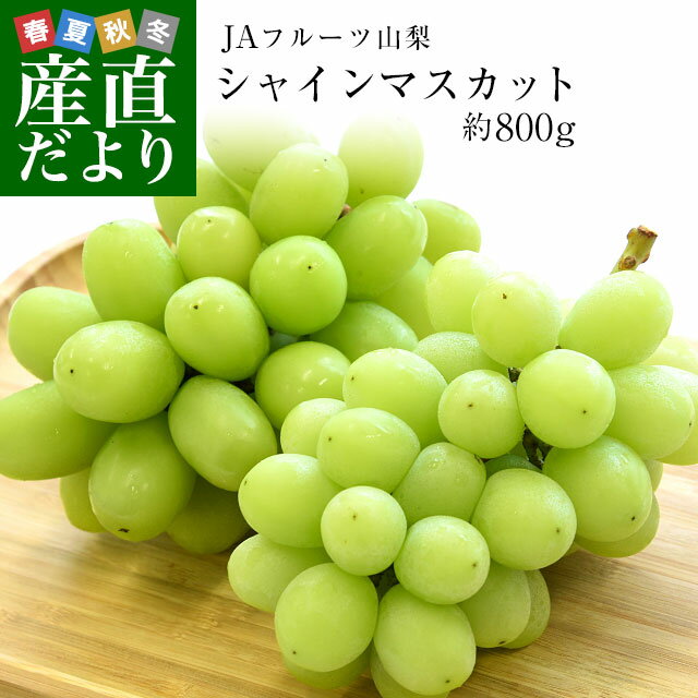 山梨県産　JAフルーツ山梨 シャインマスカット約800g（約400g×2房）送料無料 市場発送　敬老の日 ブドウ　ぶどう 葡萄 種無し 皮ごとのサムネイル