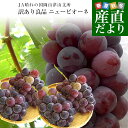 岡山県より産地直送 JA晴れの国岡山 津山支所 訳あり良品 ニューピオーネ 約2キロ(4房から5房)送料無料 ブドウ ぶどう クール便