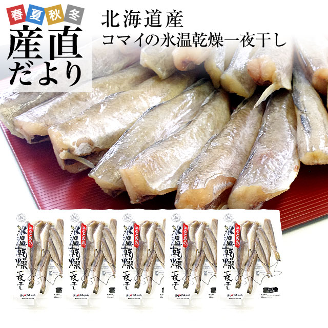 北海道産 コマイ 氷下魚 の氷温乾燥一夜干し 約1キロ 200g 5袋 送料無料