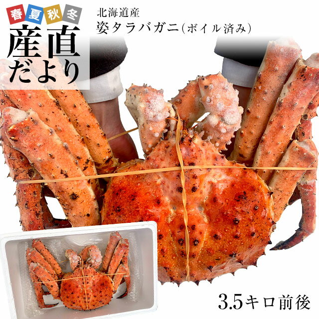 北海道より直送 北海道産　姿タラバガニ（ボイル済）3.5キロ前後　送料無料 タラバ蟹 たらば カニ 蟹