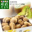 香川県より産地直送 JA香川県 キウイフルーツ 香緑(こうりょく) 訳あり品 約3キロ (15から30玉前後) 送料無料