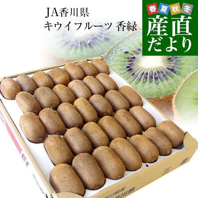 香川県より産地直送 JA香川県 キウイフルーツ 香緑(こうりょく) 　約3キロ　(20から35玉前後) 送料無料