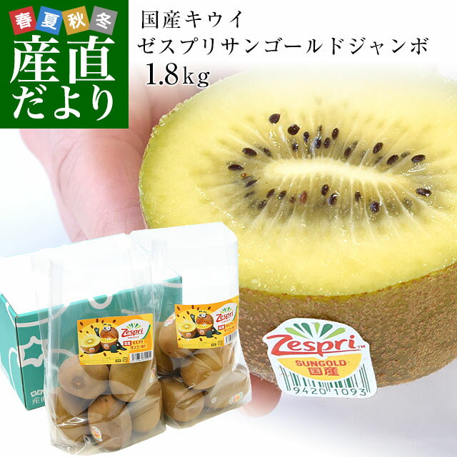 国産 ゼスプリ・サンゴールドキウイ「ジャンボサイズ」 約1.8キロ（合計10玉から14玉） ※ゼスプリ キウイマグネット付き 送料無料　キウイフルーツのサムネイル