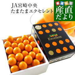 https://thumbnail.image.rakuten.co.jp/@0_mall/sanchokudayori/cabinet/kago0/kumquat07_0.jpg