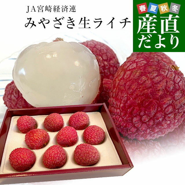 宮崎県産　JA宮崎経済連　みやざき生ライチ　420g化粧箱　2LからMサイズ（9玉から15玉）クール便 国産ライチ 宮崎ライチ らいち 送料無料のサムネイル