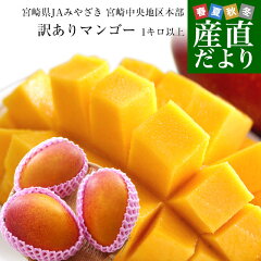 https://thumbnail.image.rakuten.co.jp/@0_mall/sanchokudayori/cabinet/kago0/mango22_0.jpg