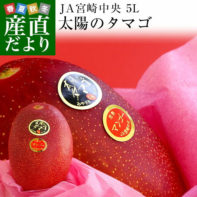 宮崎県より産地直送 JA宮崎中央 太陽のタマゴ 最高級AA品 5Lサイズ (650g以上×1玉) 送料無料 マンゴー たいようのたまごのサムネイル