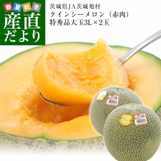 父の日ギフト 茨城県産 JA茨城旭村 クインシーメロン 特秀品 大玉3L×2玉セット（合計約2.5キロ） 父の日プレゼント 送料無料 市場発送のサムネイル