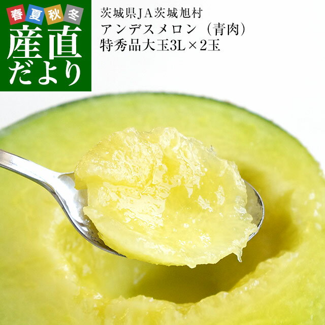 市場発送　JA茨城旭村　アンデスメロン（青肉）特秀品　大玉3L×2玉セット（合計約2.5キロ）　送料無料　めろん　いばらき　あさひ村のサムネイル