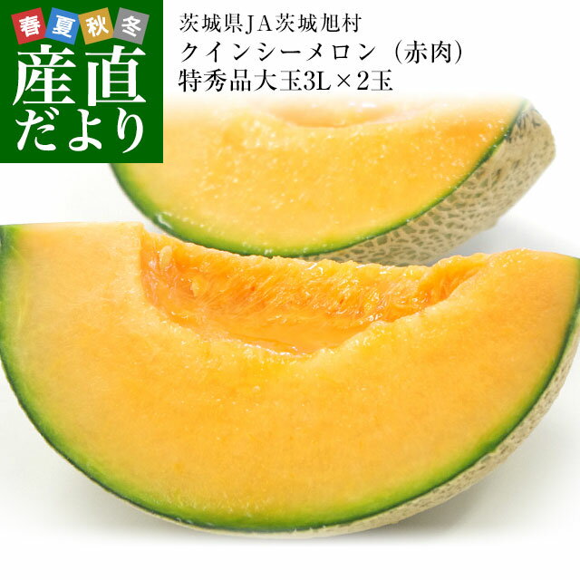 JA茨城旭村　クインシーメロン（赤肉）特秀品　大玉3L×2玉セット（合計約2.5キロ）　送料無料　めろん　いばらき　あさひ村　市場発送のサムネイル