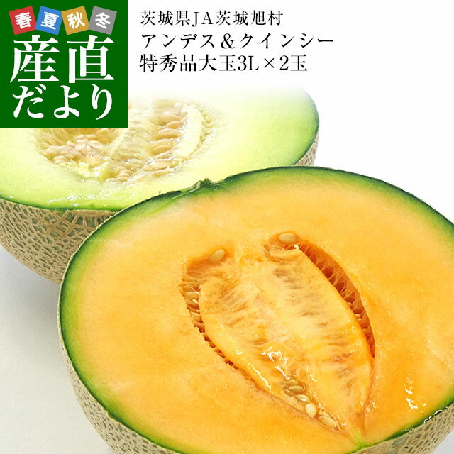 市場発送　JA茨城旭村　アンデス＆クインシーメロン特秀品　大玉3L×2玉セット（合計約2.5キロ）　送料無料　めろん　いばらき　あさひ村のサムネイル