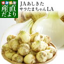 熊本県より産地直送 JAあしきた サラたまちゃん LAサイズ 約5キロ (15玉前後) 送料無料 玉葱 タマネギ サラ玉 さらたま さらタマ