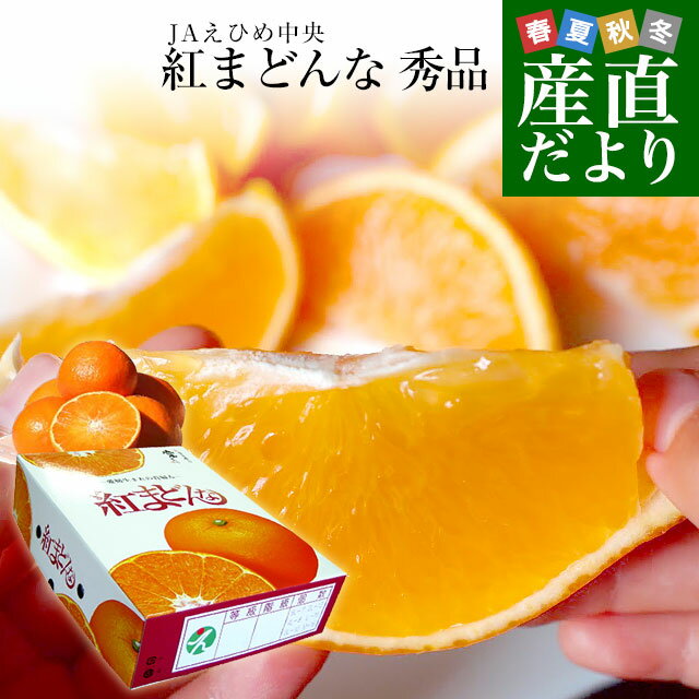 愛媛県より産地直送 JAえひめ中央 紅まどんな 秀品 3LからLサイズ 約3キロ(10玉から15玉)　送料無料 紅マドンナ オレンジ　御歳暮 お歳暮 ギフト