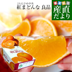 愛媛県より産地直送 JAえひめ中央 紅まどんな 良品　3LからLサイズ 約3キロ(10玉から15玉)　紅マドンナ オレンジ　御歳暮 お歳暮 ギフト