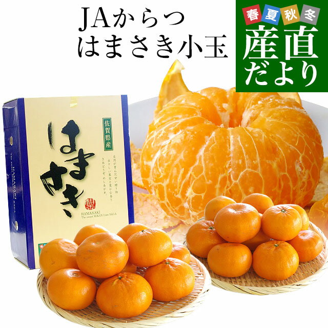 佐賀県より産地直送 JAからつ はまさき 小玉 SSサイズ 2.5キロ (20から25玉前後) 送料無料 唐津 浜崎のサムネイル