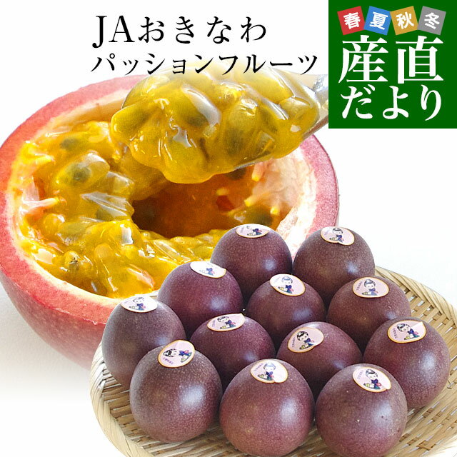 サンチャイルド農園 【ギフト】沖縄県産 パッションフルーツ 約1kg 9～13玉×2箱