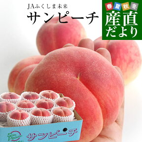 福島県より産地直送　JAふくしま未来 最高級ブランド桃「サンピーチ」 約3キロ（10玉から12玉） 送料無料　桃 もも　ピーチ