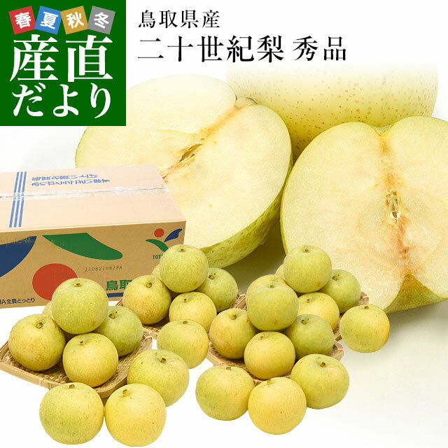 鳥取県産　JA全農とっとり他　二十世紀梨　○秀品以上 約10キロ（20玉から28玉）なし　ナシ　20世紀　送料無料　市場発送のサムネイル