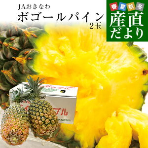 沖縄産の美味しいパイナップルが食べたい！おすすめは？