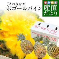 沖縄県より産地直送 JAおきなわ 石垣島産 ボゴールパイン 3玉セット 合計1.8キロ前...