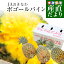 沖縄県より産地直送 JAおきなわ 石垣島産 ボゴールパイン 3玉セット 合計1.8キロ前後 (600g×3玉) 送料無料 沖縄パイン パイナップル パインアップル いしがきじま