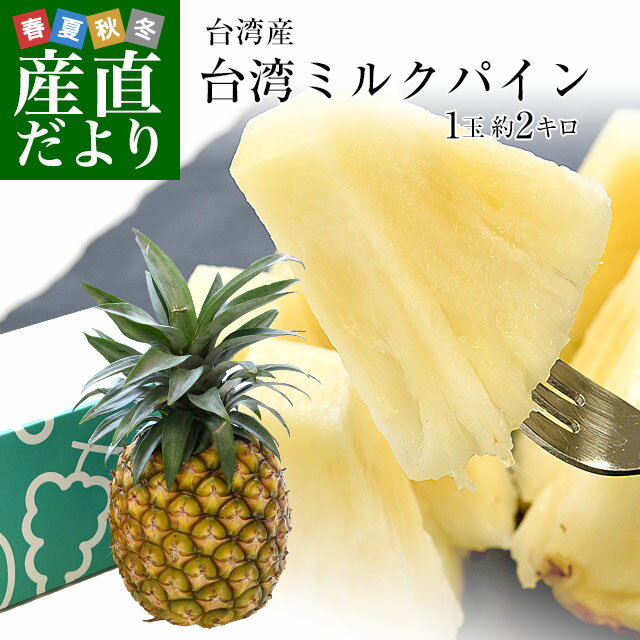 台湾産　ミルクパイン　大玉1玉（約2キロ）送料無料　クール便 パイン パイナップル パインアップル 台湾パインのサムネイル