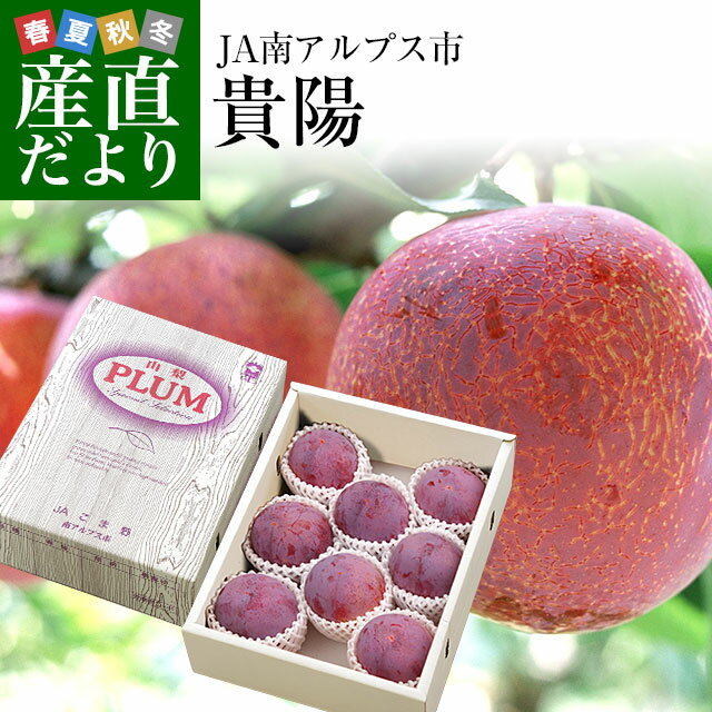 山梨県産　JA南アルプス市 プラム 貴陽 約1.5キロ (7玉から9玉) 李 スモモ送料無料 市場発 ...