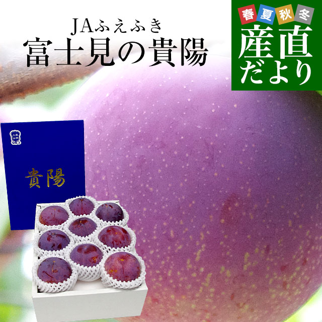 山梨県より産地直送 JAふえふき 富士見の貴陽 約1.5キロ (7玉から9玉) 送料無料 プラム ぷらむ お中元 ギフト