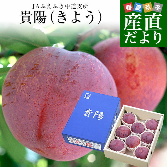 《すもも 太陽 約3kg (1.5kg×2箱 ) 送料無料》【 山梨県 境川 産 プラム 太陽 約1.5kg×2箱 (約3kg 18～24個) 】李 大玉スモモ 贈答品 お中元 ギフト 高級フルーツ お取り寄せグルメ ※( 約1.5kgで 9個～12個)×2。※2箱だからこの価格?