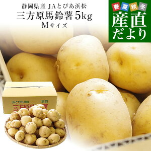 静岡県産 JAとぴあ浜松 三方原馬鈴薯 秀品 Mサイズ　5キロ（40玉から50玉前後） 送料無料　大田市場発送品 じゃがいも ジャガイモ