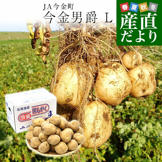 北海道産 JA今金町 じゃがいも 今金男爵 Lサイズ 約5キロ(32玉前後入り)　送料無料 馬鈴薯 ジャガイモ 芋 男爵芋のサムネイル