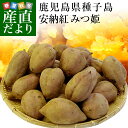 送料無料 鹿児島県より産地直送 種子島安納紅「みつ姫」 5キ...