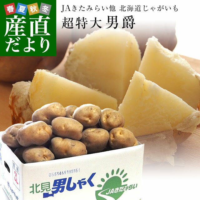 北海道産 JAきたみらい他 じゃがいも男爵 超特大3Lサイズ 10キロ(35玉前後) 送料無料 じゃがいも だんしゃく 馬鈴薯のサムネイル