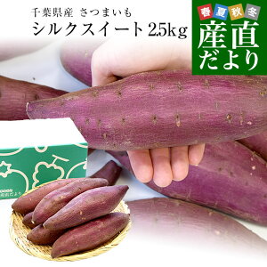 千葉県産 JAかとり シルクスイート Lサイズ 約2.5キロ 7本前後 送料無料 さつまいも　サツマイモ 薩摩芋 新芋 市場発送