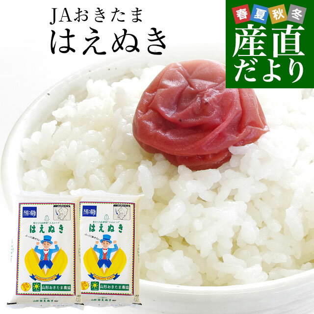 令和2年産　山形県産　JAおきたま　はえぬき　10キロ（5キロ×2袋） 送料無料　お...