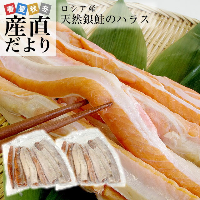 送料無料　天然銀鮭のハラス（希少な腹身の部位）　ロシア産　1キロ×2Pのサムネイル