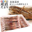 北海道産 本ししゃも 肉厚なオス 30尾入り化粧箱 送料無料 北柳葉魚 本シシャモ