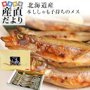 北海道から産地直送 北海道産 本ししゃも 子持ちのメス 30尾入化粧箱 送料無料 柳葉魚 本シシャモ