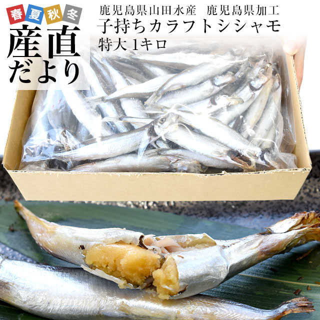 鹿児島県山田水産より発送　鹿児島県加工　特大　子持ちカラフトシシャモ（アイスランド産）1キロ（50尾前後）※クー…