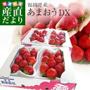 福岡県産 超盛りあまおう DX たっぷり2箱 1080g (合計32粒から48粒)(540g×2箱) 送料無料 アマオウ デラックス 農協 いちご 苺 イチゴ