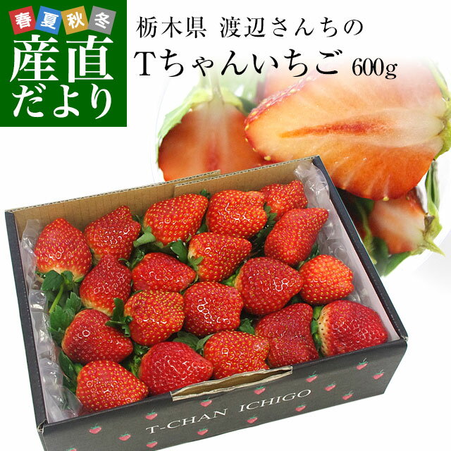 栃木県より産地直送 渡辺さんちのTちゃんいちご(栃乙女) 600g (不揃い：14粒から21粒) 苺 いちご イチゴ ストロベリー 送料無料 ※クール便発送