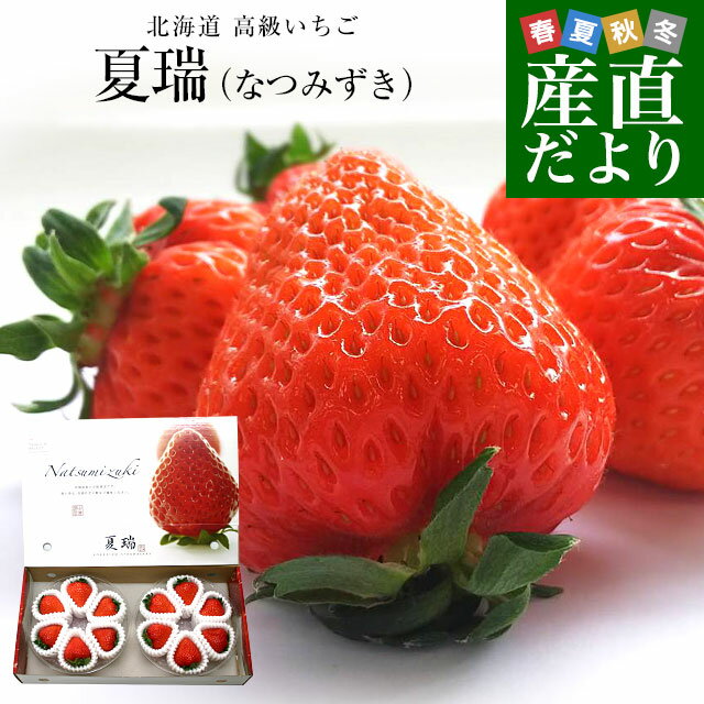 いちご 北海道より産地直送 高級いちご 夏瑞（なつみずき）約180g（6粒から7粒）×2パック　化粧箱入り イチゴ 苺 夏イチゴ