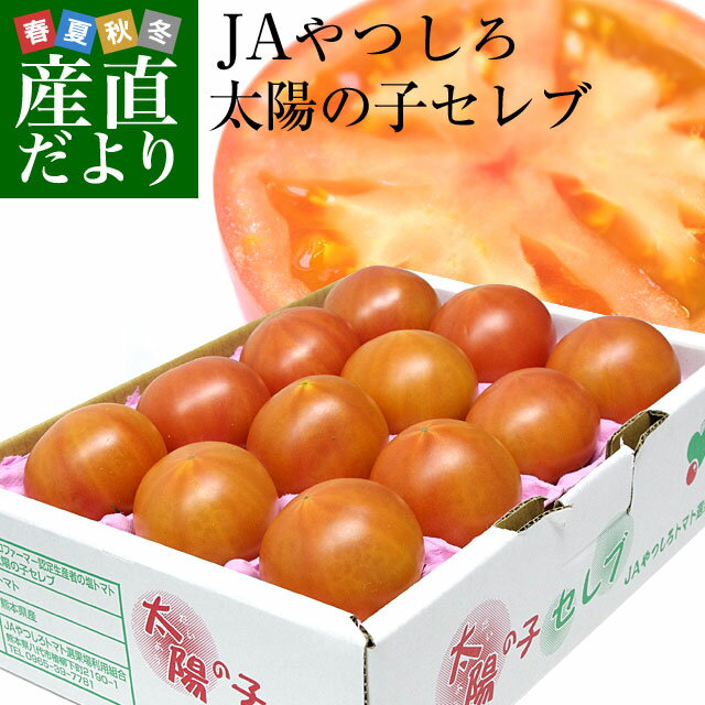 熊本県より産地直送 JAやつしろ 太陽の子セレブ 約1キロ MからSサイズ (11から16玉) 熊本県より産地直送 JAやつしろ 太陽の子セレブ 約1キロ MからSサイズ (11から16玉)