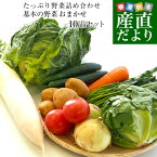 市場からご自宅へ直送　たっぷり野菜詰め合わせ応援セット（国産おまかせ野菜10品セット）※キャベツ、レタス、ほうれん草、小松菜、きゅうり、トマト、ナス、大根、ごぼう、じゃがいも、たまねぎ、にんじんなどの中からおまかせ10品の詰め合わせ 今だけ春野菜+1品でお届け