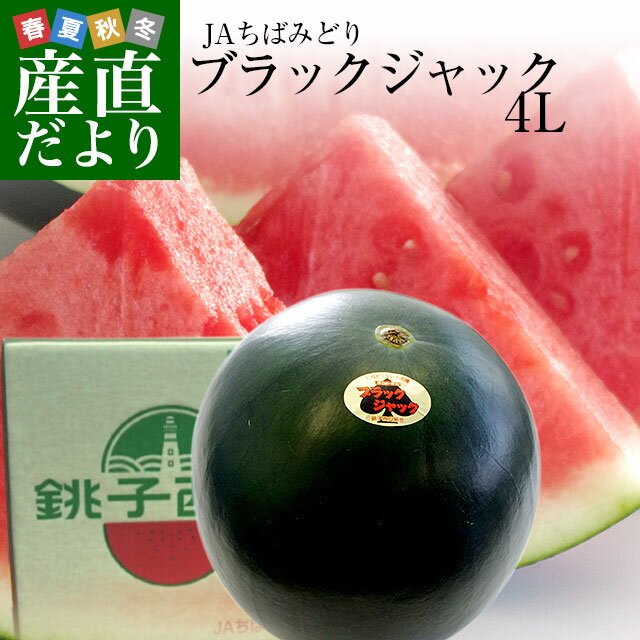 千葉県産 JAちばみどり 銚子の黒皮スイカ ブラックジャック 4L 大玉1玉 約10キロ 送料無料 西瓜 すいか 市場発送