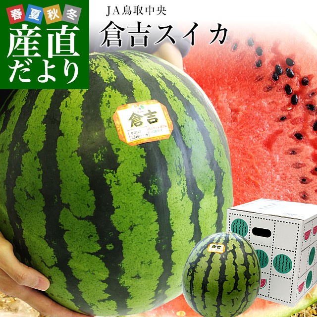 鳥取県　JA鳥取中央　倉吉スイカ　秀品　大玉　4Lサイズ　9キロ以上　1玉　西瓜　すいか　スイカ　送料無料　市場発送のサムネイル